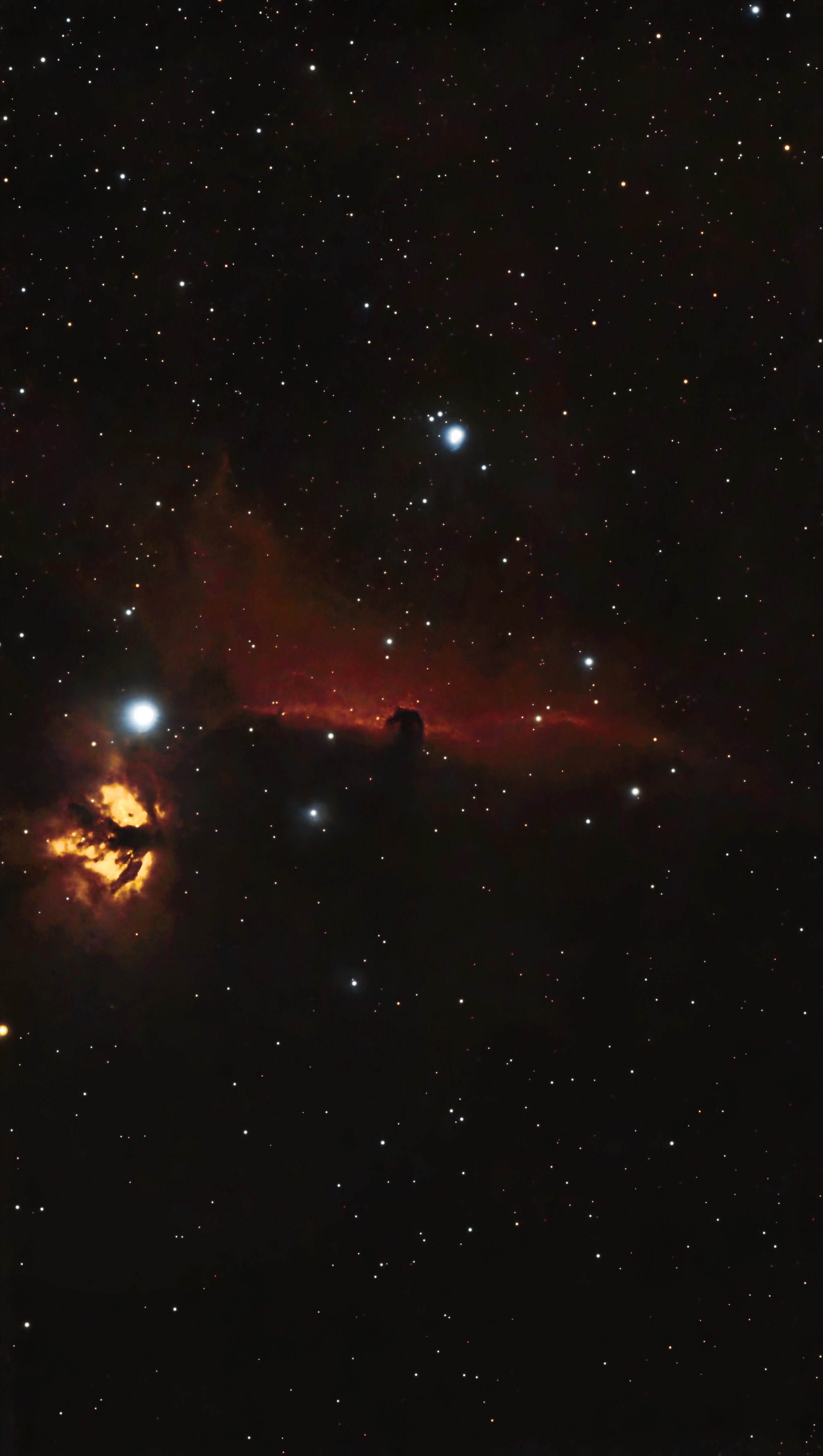 IC 434 / NGC 2024 的深空摄影作品